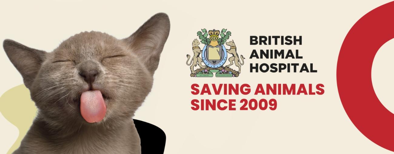 | British Animal Hospital